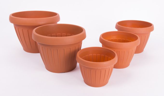 Dalia flower pot